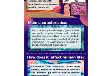 All About Lactobacillus Casei Shirota
